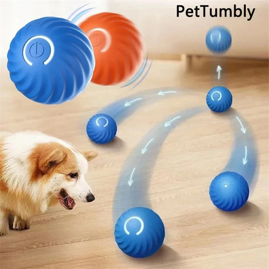 Interactive Smart Dog Ball